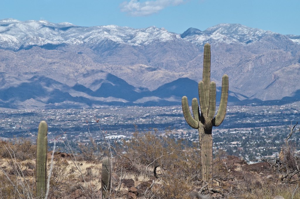 Tucson - Santa Catalinas