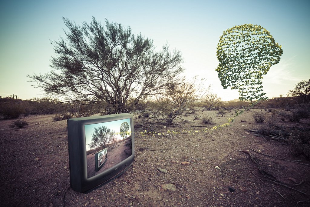 TV in the Desert